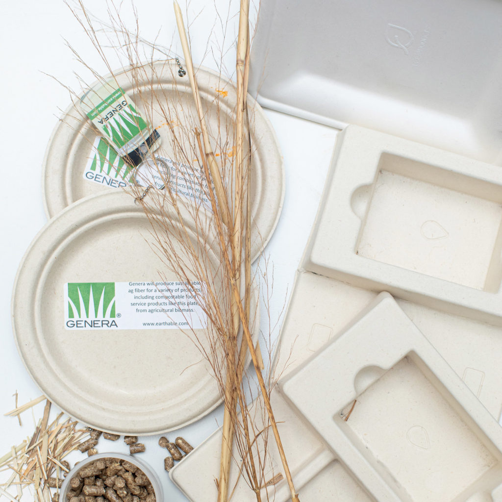 switchgrass, wood chips and wood pellets are used to make biodegradable food service plates and trays