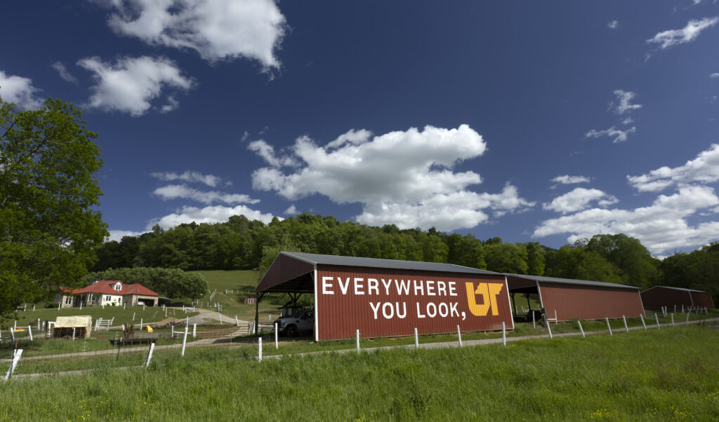 UT mural on red barn in Pulaski, Tennessee