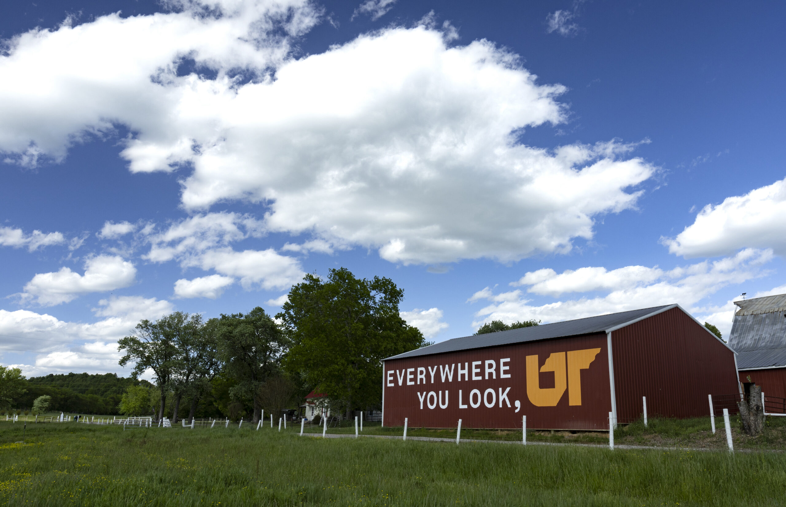39th 'Everywhere You Look, UT' Mural on Barn at Friendship Acres Farm in  Giles County - UT System News