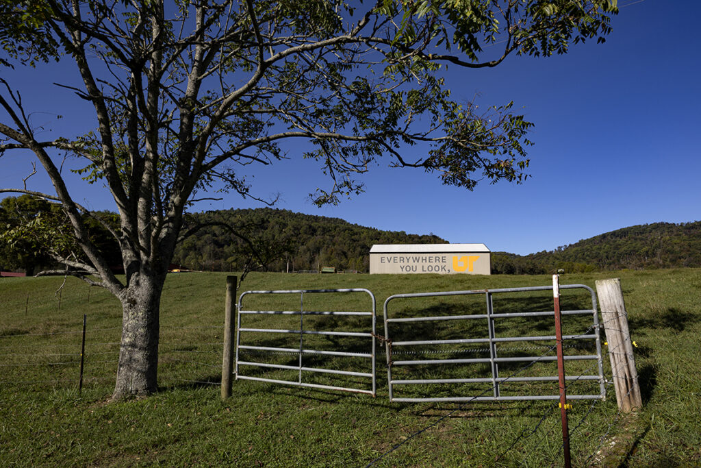 A brown barn with a painted mural, with a tree and metal gate in the foreground.