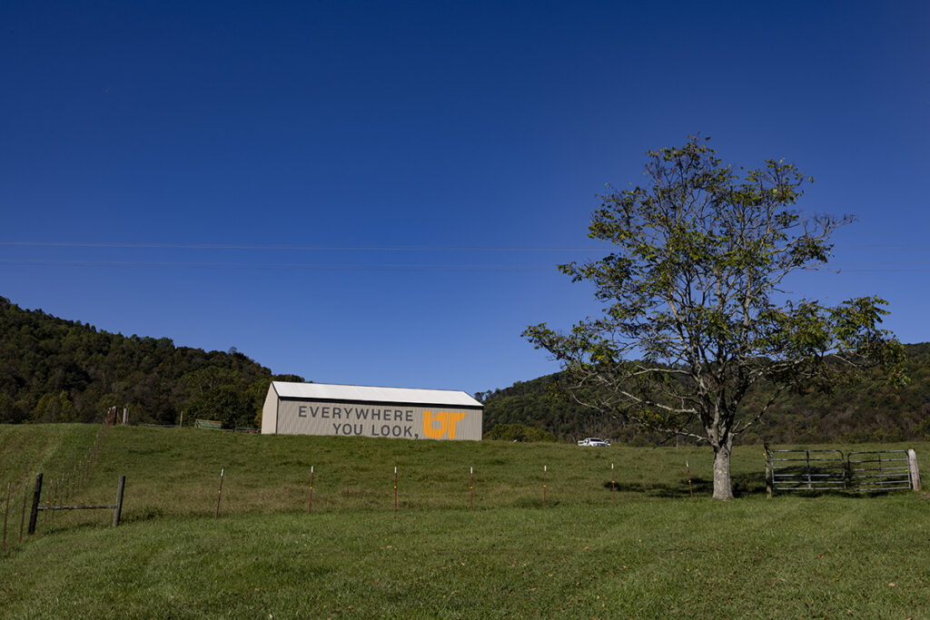 A brown barn with a painted mural, in a large green field with mountains in the background.